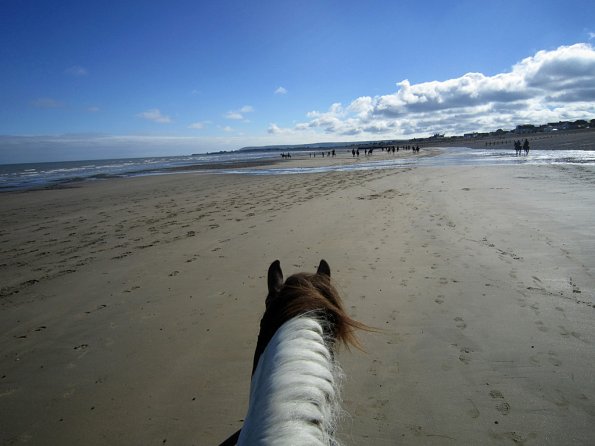Coakham beach ride (27)