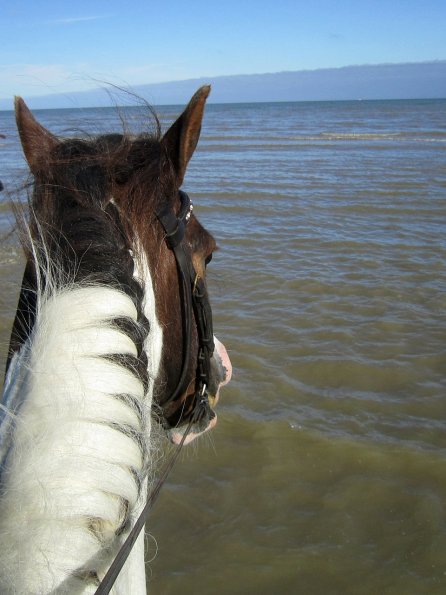 Coakham beach ride (30)