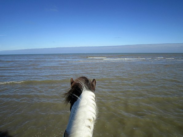 Coakham beach ride (31)
