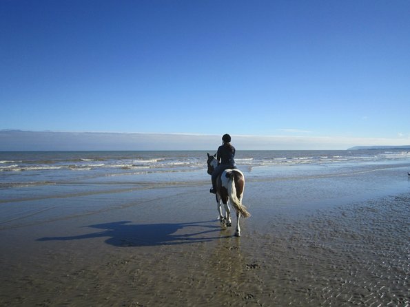 Coakham beach ride (38)