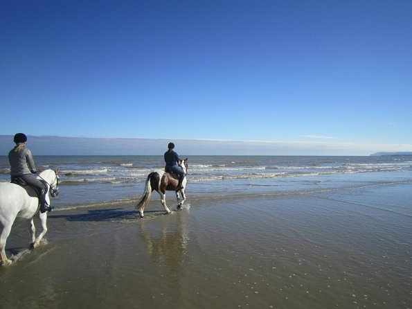 Coakham beach ride (39)