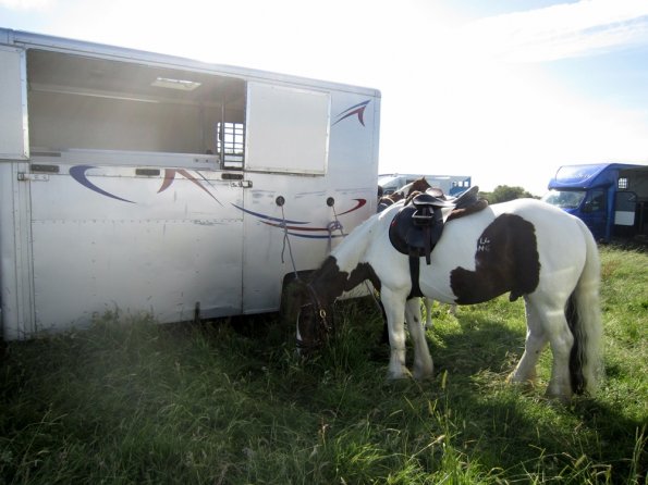 Coakham beach ride (4)