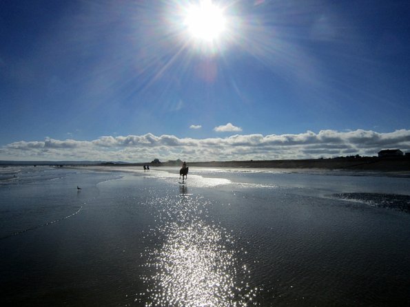 Coakham beach ride (40)