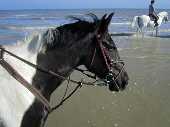 Coakham beach ride (41)