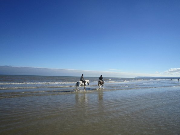 Coakham beach ride (43)