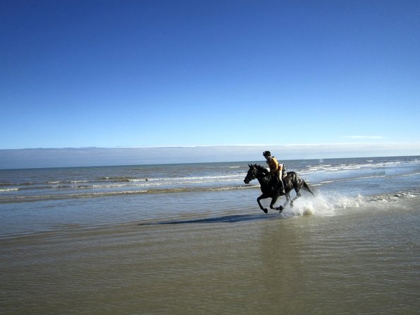 Coakham beach ride (45)