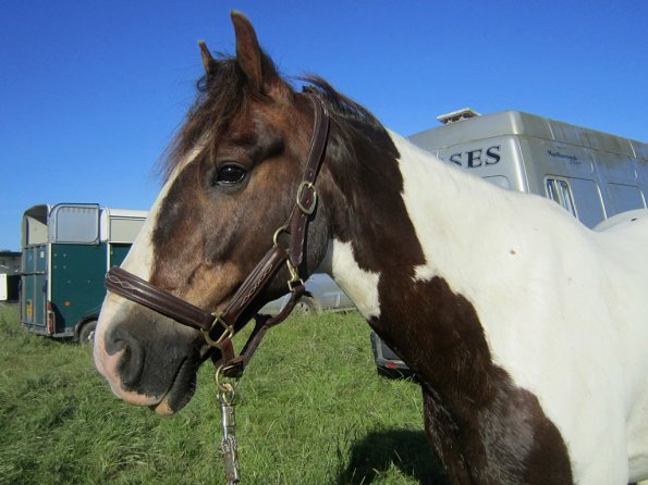 Coakham beach ride (46)