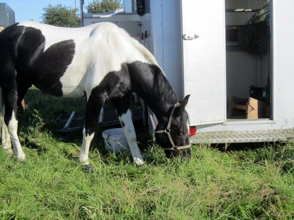 Coakham beach ride (47)