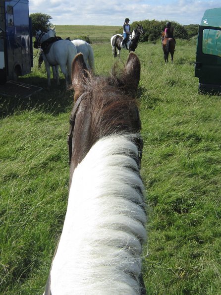 Coakham beach ride (5)