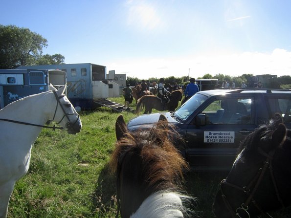 Coakham beach ride (6)