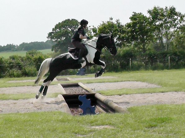 06-05-2016_120617(1)