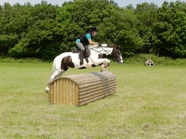 06-05-2016_121728(1)