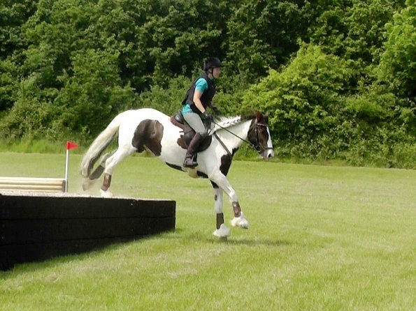 06-05-2016_124841(1) - Copy