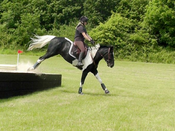 06-05-2016_124841(2) - Copy