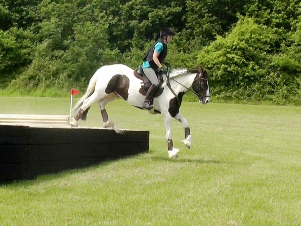 06-05-2016_124940 - Copy