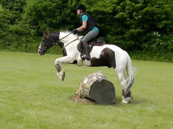 06-05-2016_125315 - Copy