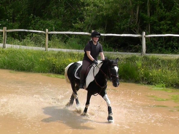 06-05-2016_130143(1)