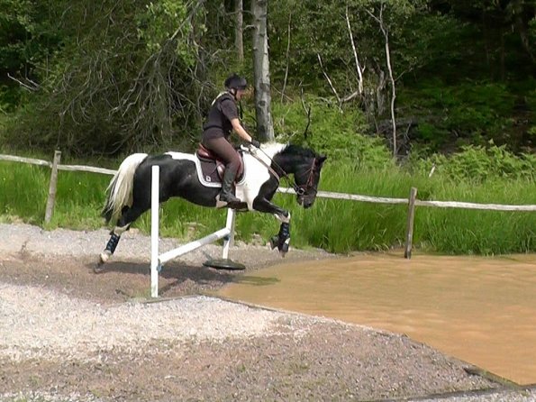 06-05-2016_130314 - Copy