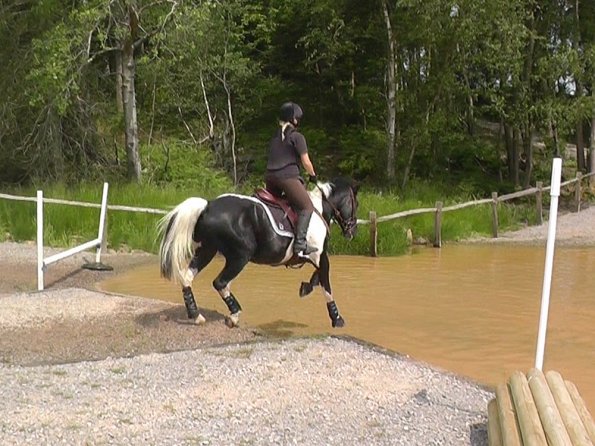 06-05-2016_130559 - Copy