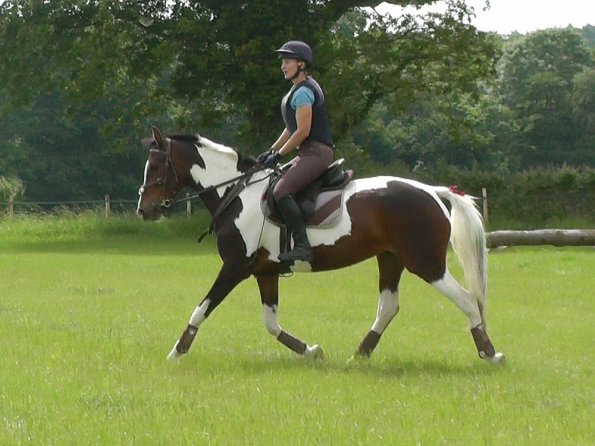 06-19-2016_092826(1)