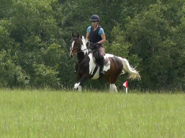 06-19-2016_093544(2)