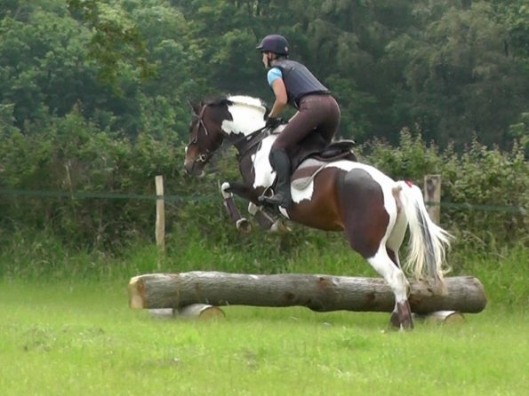 06-19-2016_094014(1)