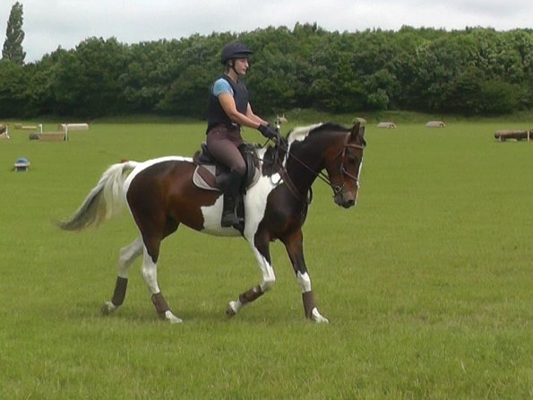 06-19-2016_094334(2)