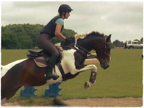 06-19-2016_094334(4)