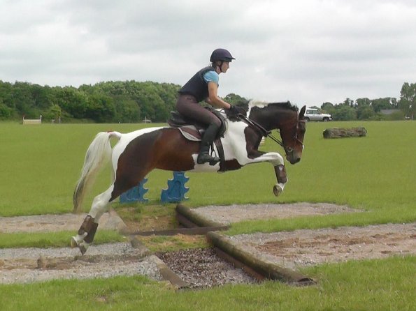 06-19-2016_094334(6)