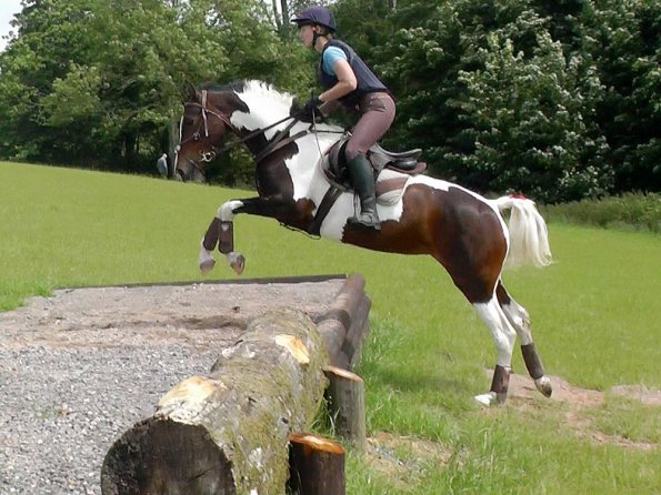 06-19-2016_101432(1)