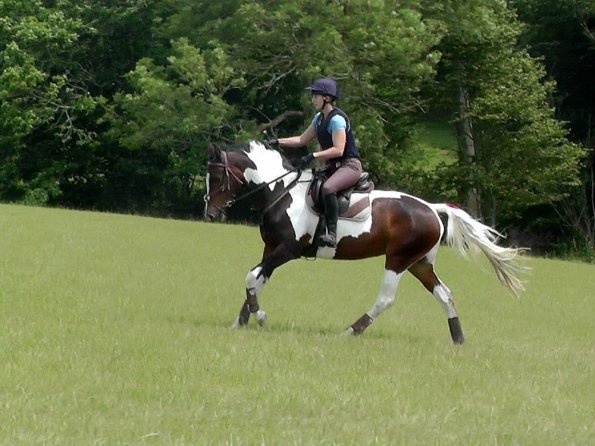 06-19-2016_101626(1)