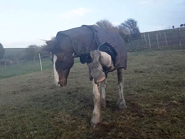 Spanish walk like this