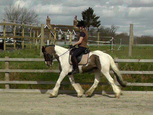 03-30-2016_111323(2)