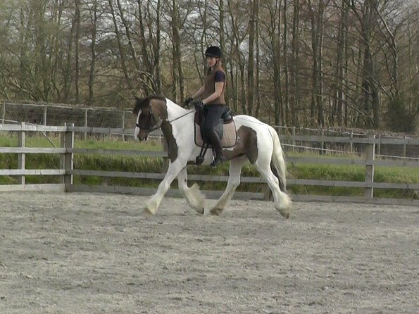 03-30-2016_111323(3)