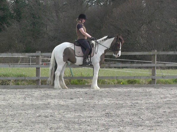 03-30-2016_111323(6)