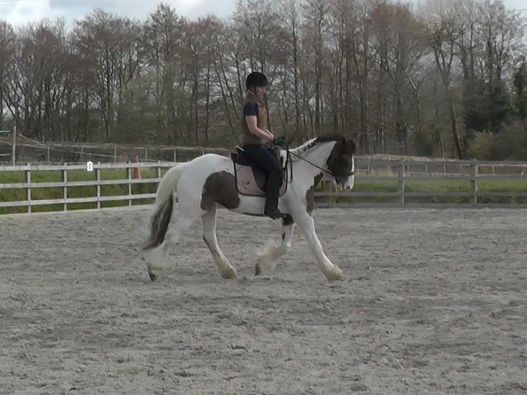 03-30-2016_111323(7)