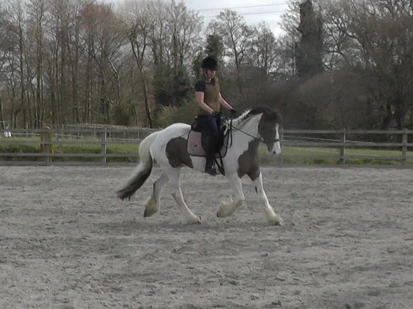 03-30-2016_111323(9)