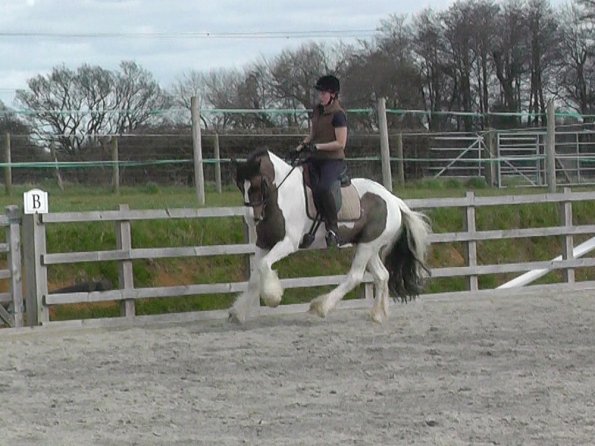 03-30-2016_112054(10)