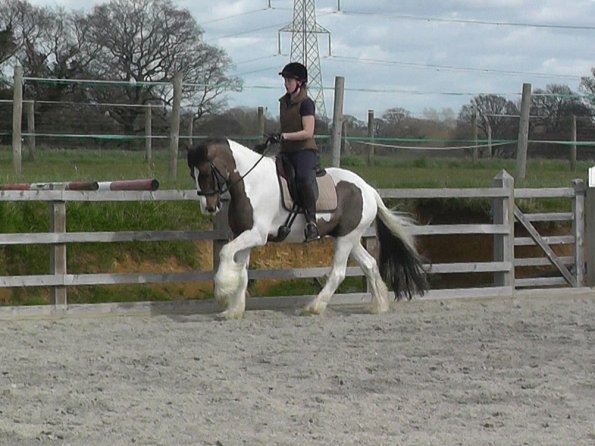 03-30-2016_112054(11)