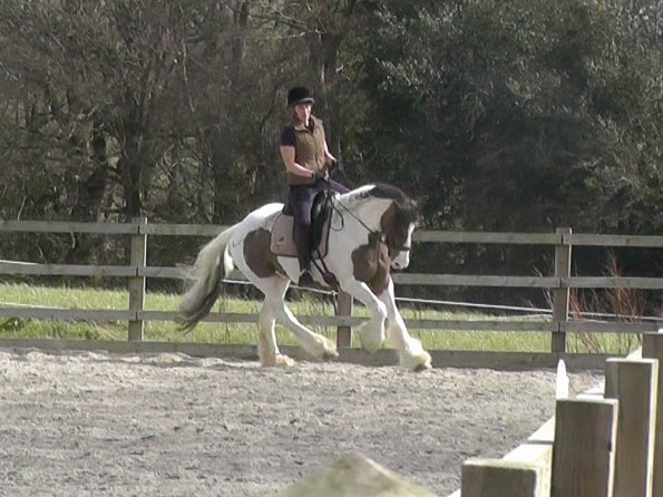 03-30-2016_112054(13)