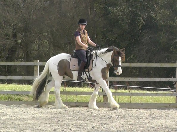 03-30-2016_112054(2)