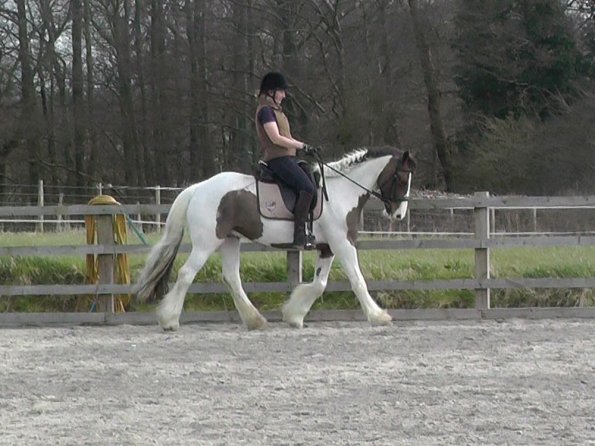 03-30-2016_112054(4)