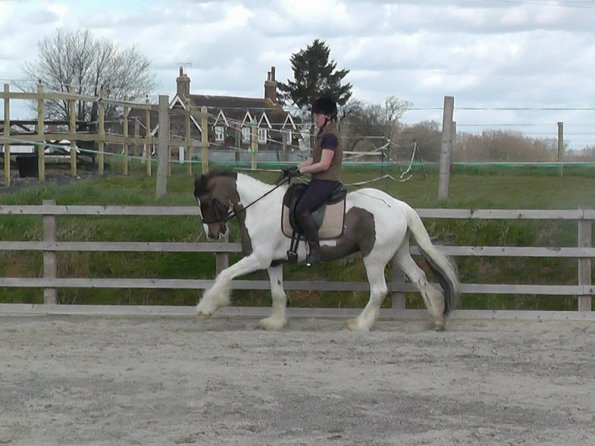 03-30-2016_112054(7)