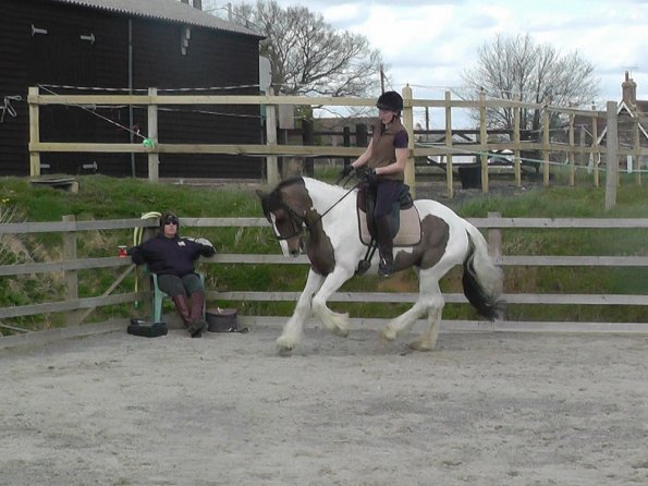 03-30-2016_112054(8)