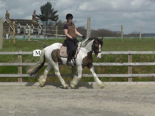 03-30-2016_113008(1)