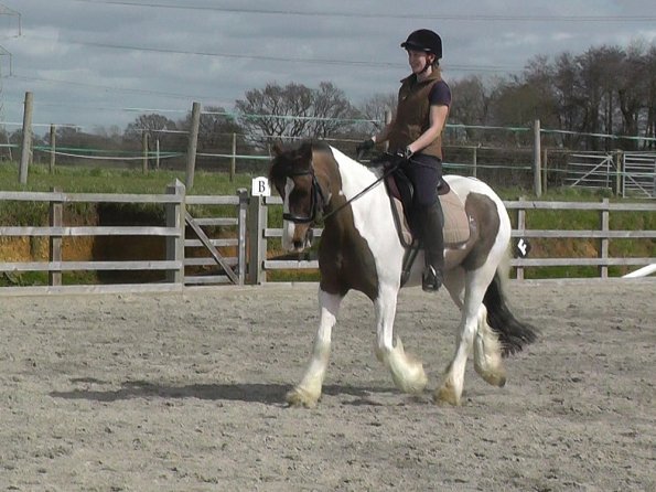 03-30-2016_113008(3)