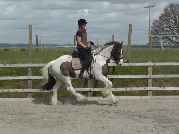 03-30-2016_113008(4)