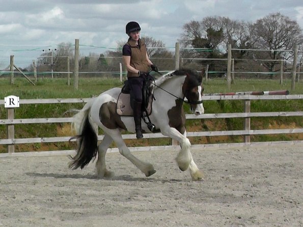 03-30-2016_113008(5)