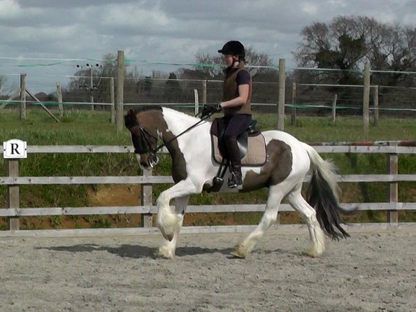 03-30-2016_113643(1)