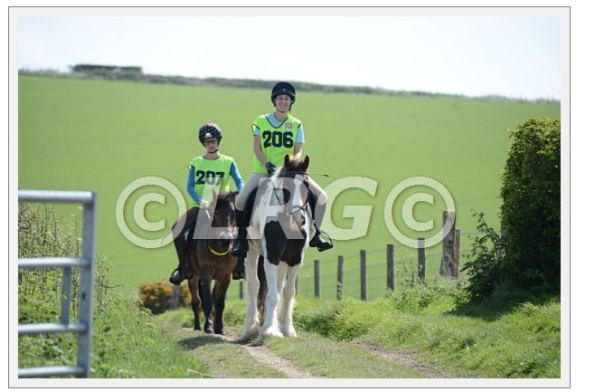 capture-20150504-210701